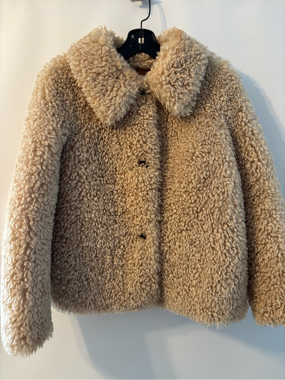Zara Plush Teddy Jacket in Beige